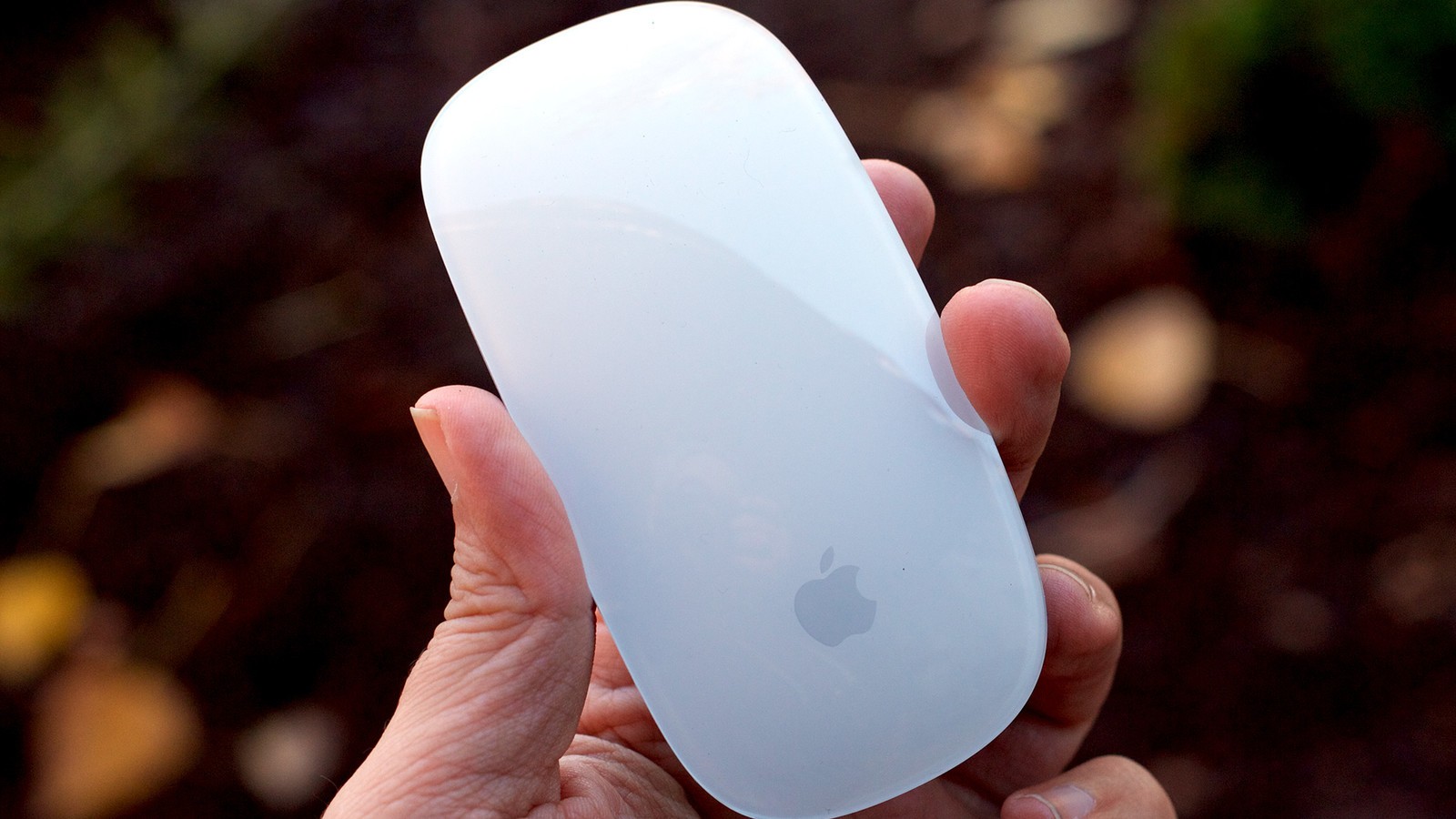 how much for a mac mouse?